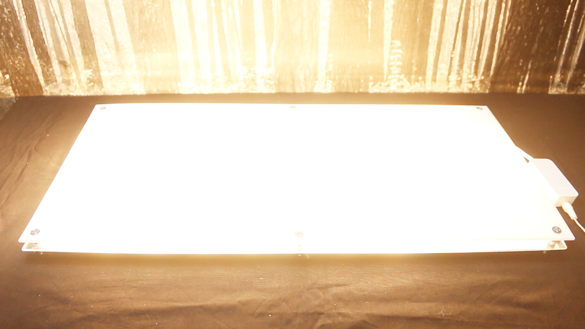 Image31.jpg