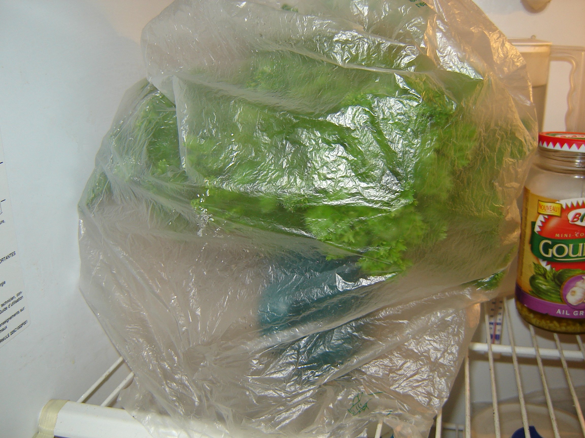 Infridge.jpg