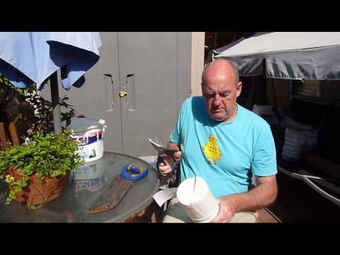 Ingenious Fruit Berry Harvester Home Made from a plastic bleach bottle in action.