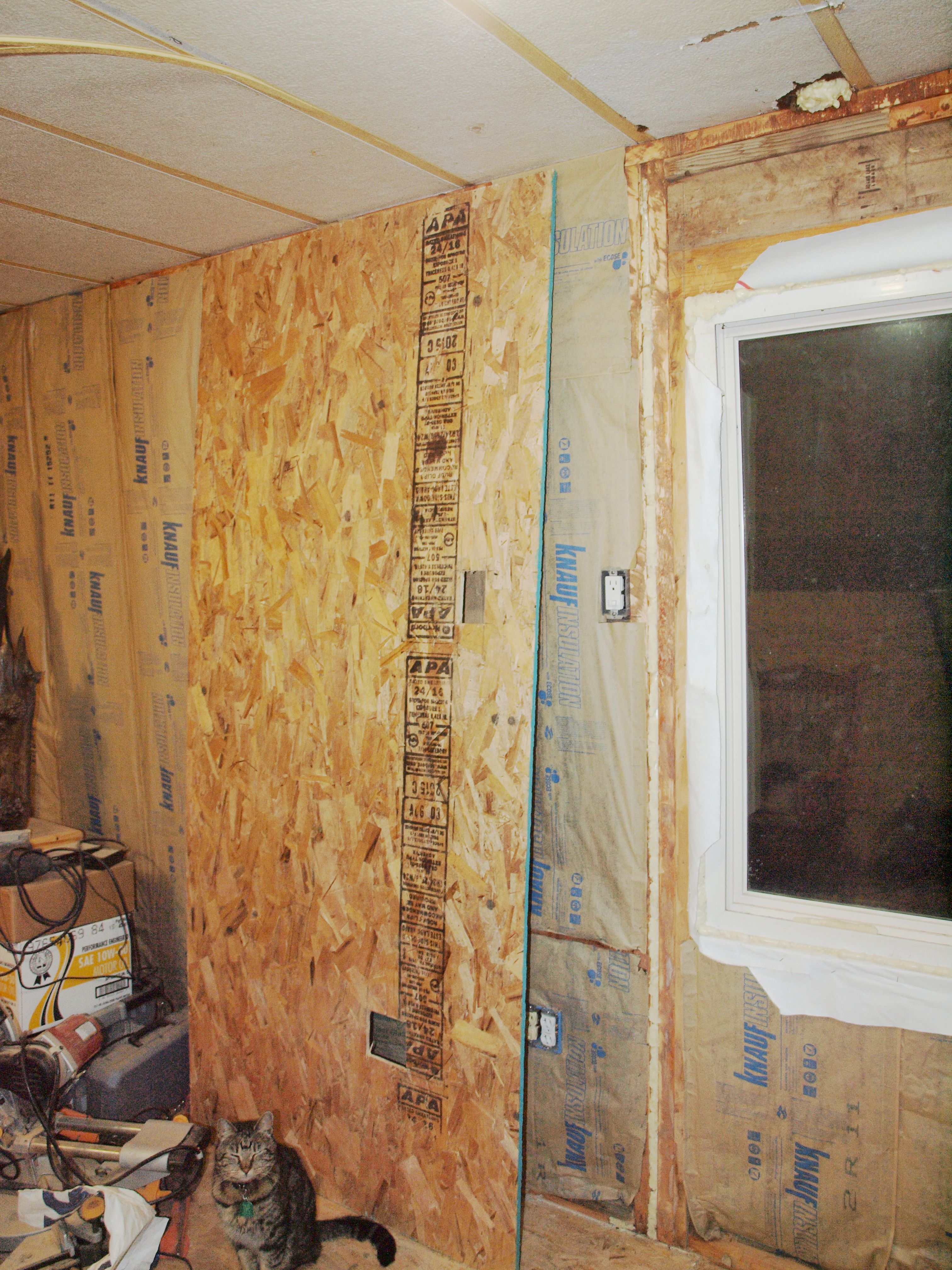 Insulation2C.jpg