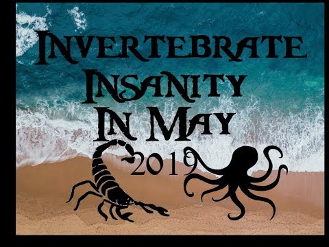 Invertebrate Insanity 2019 Promo Series