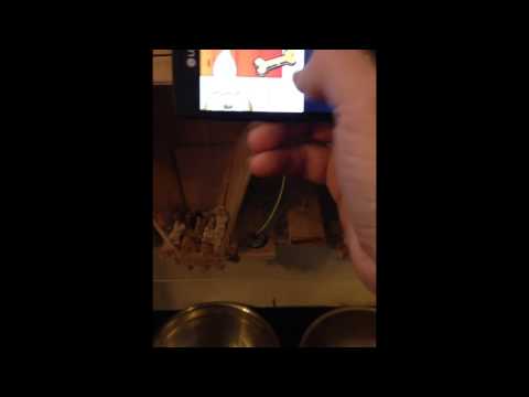 Iot pet feeder