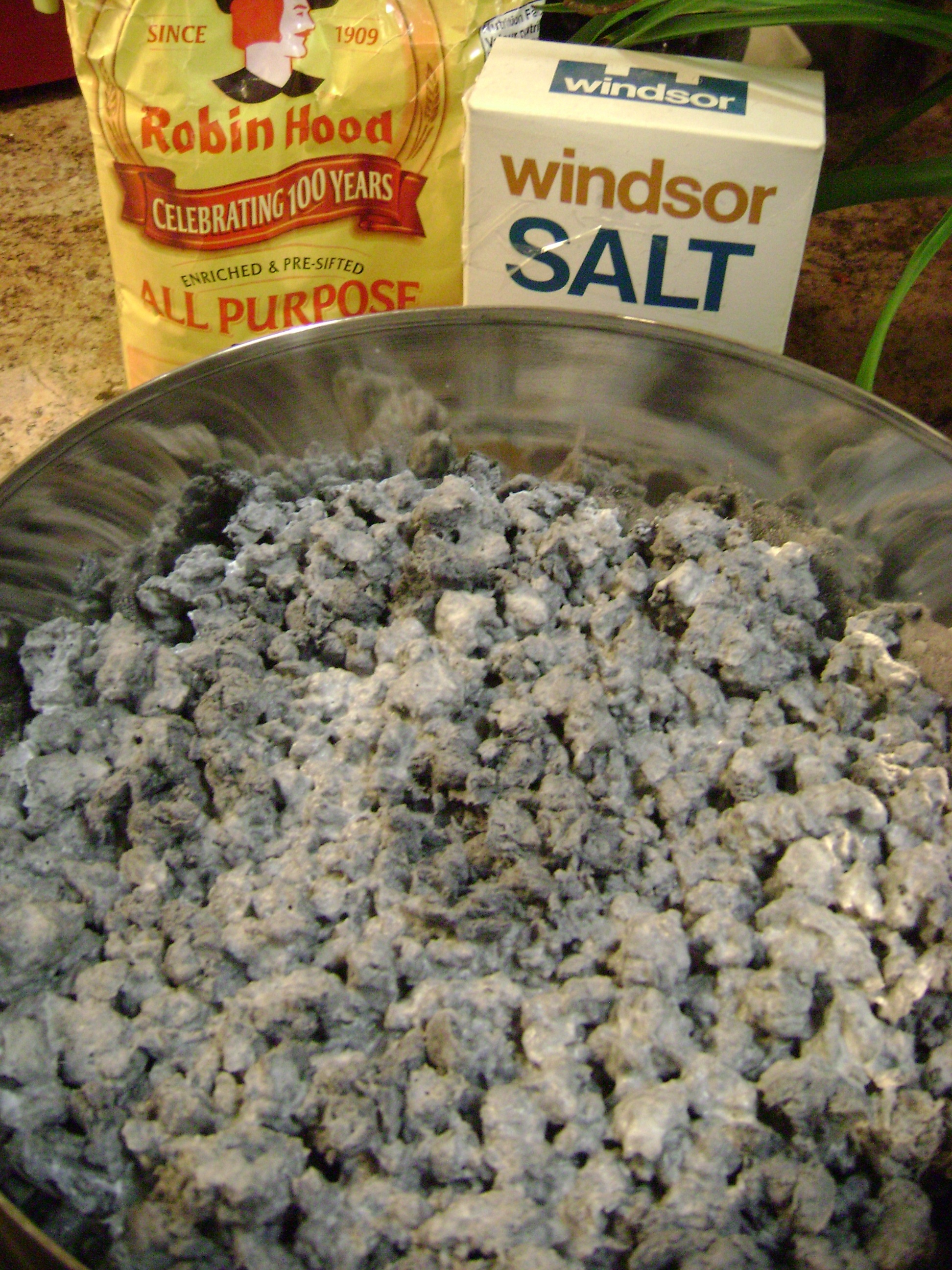 January 2011 031.jpg