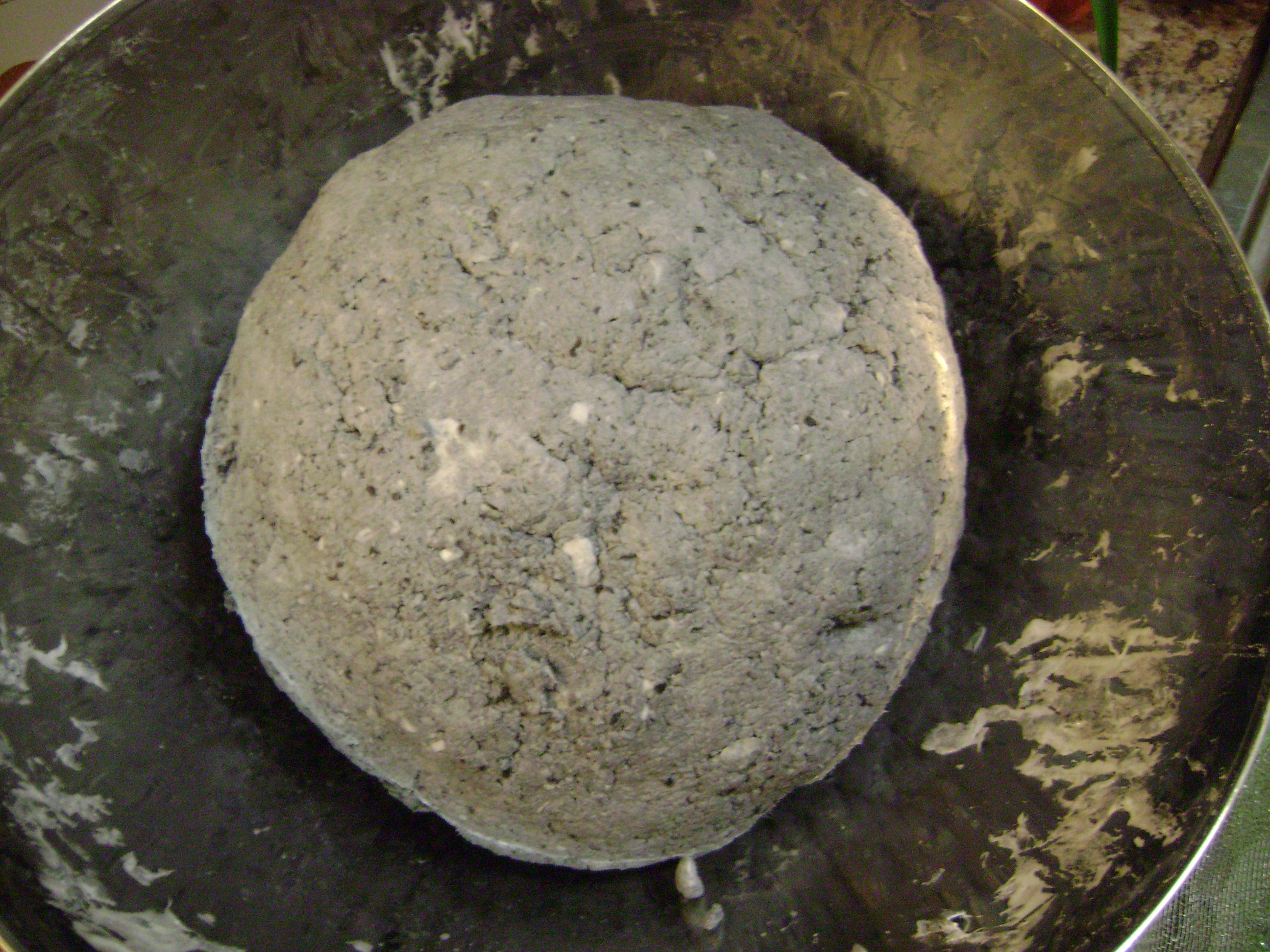 January 2011 035.jpg