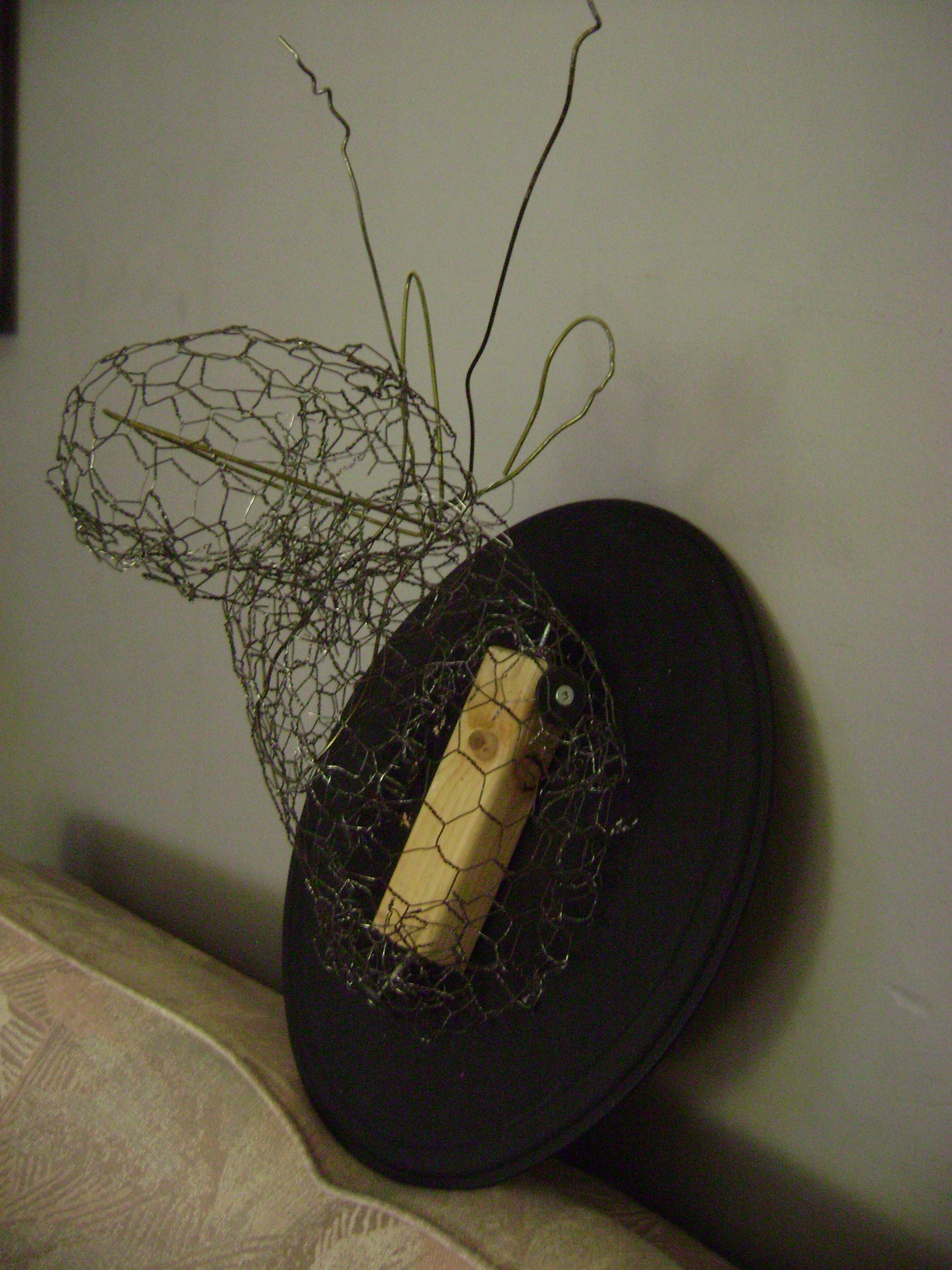January 2011 046.jpg