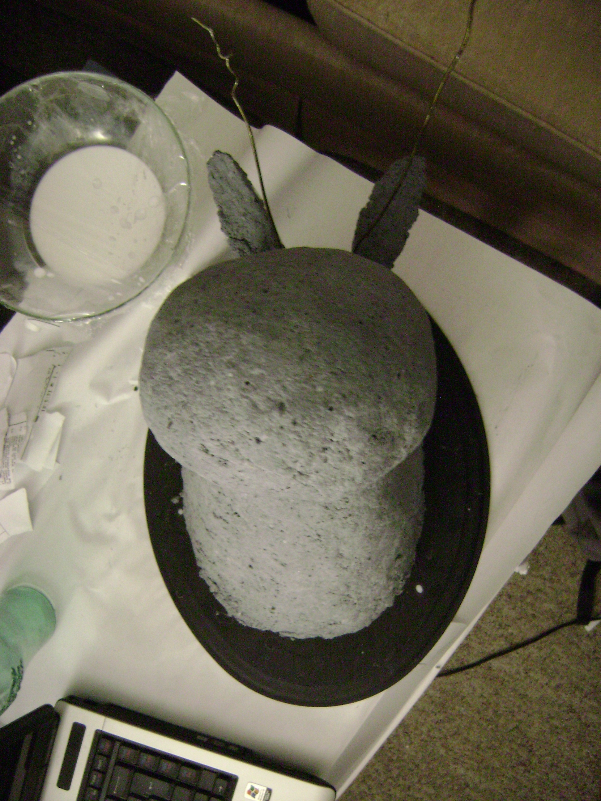 January 2011 050.jpg