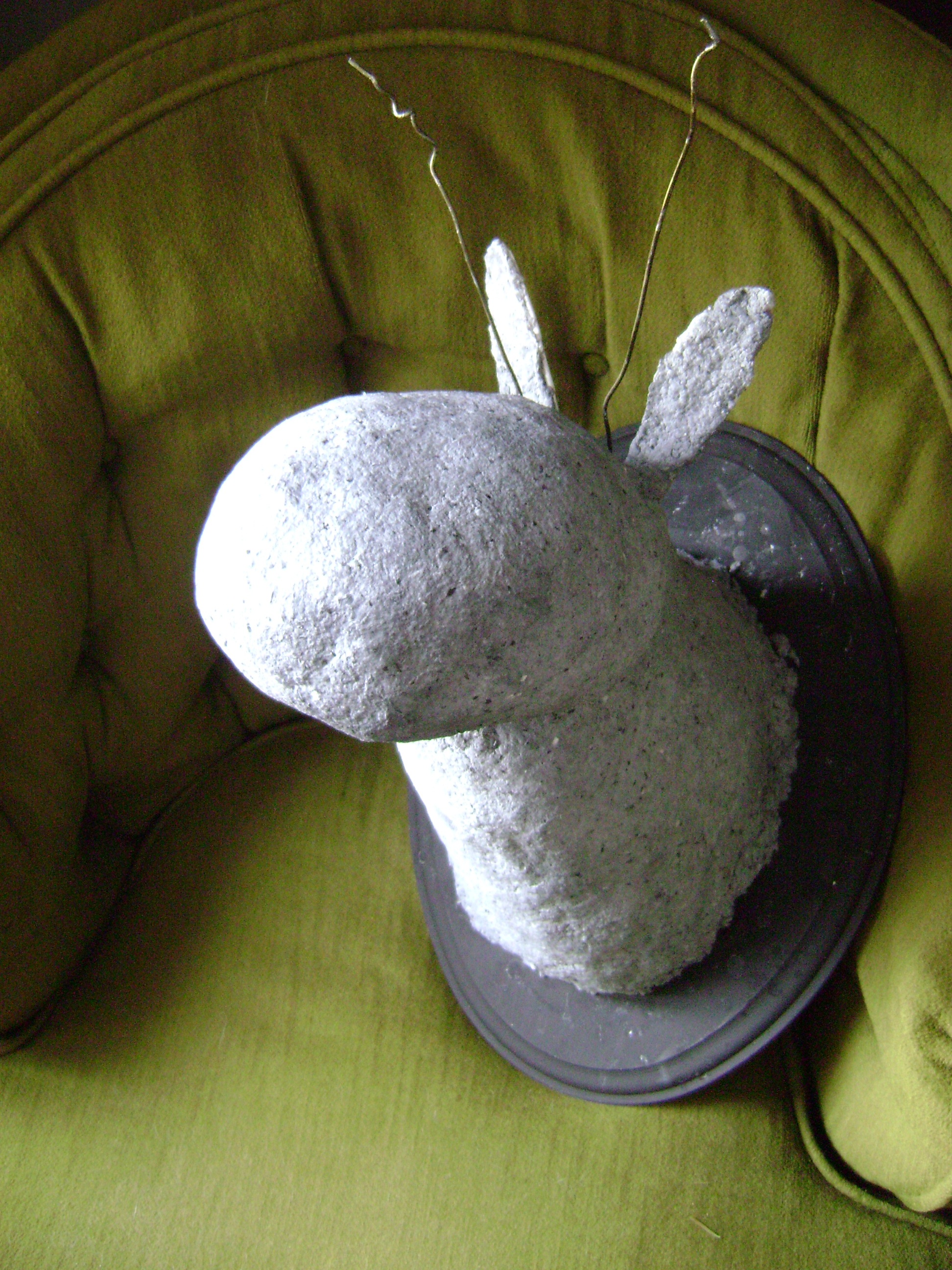 January 2011 052.jpg