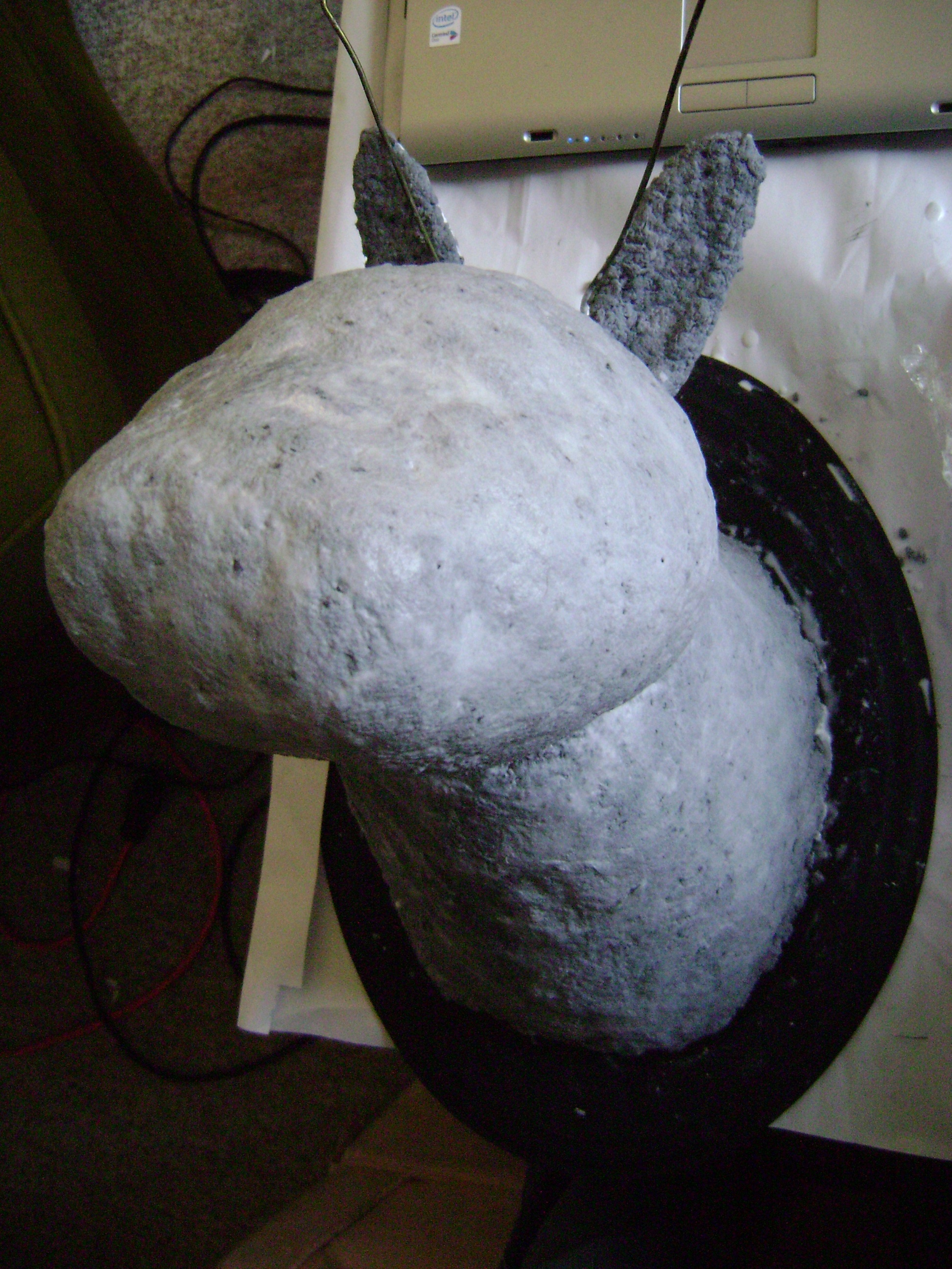 January 2011 078.jpg