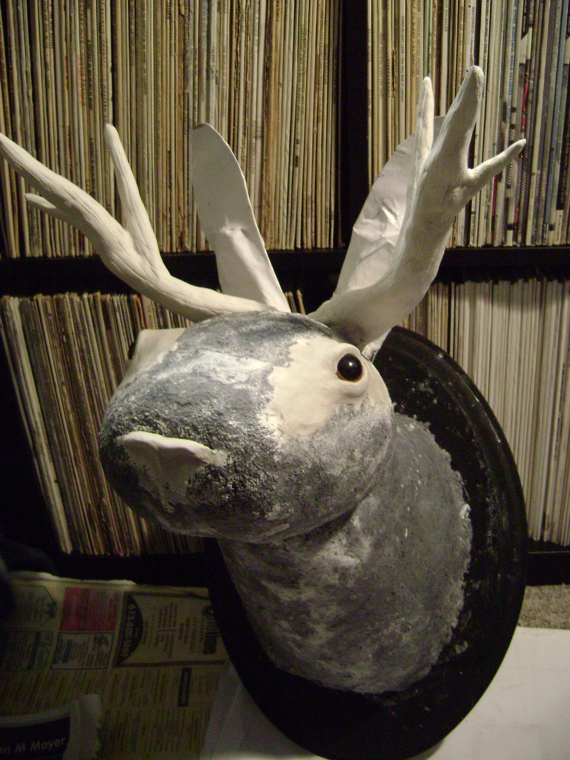 January 2011 115.jpg