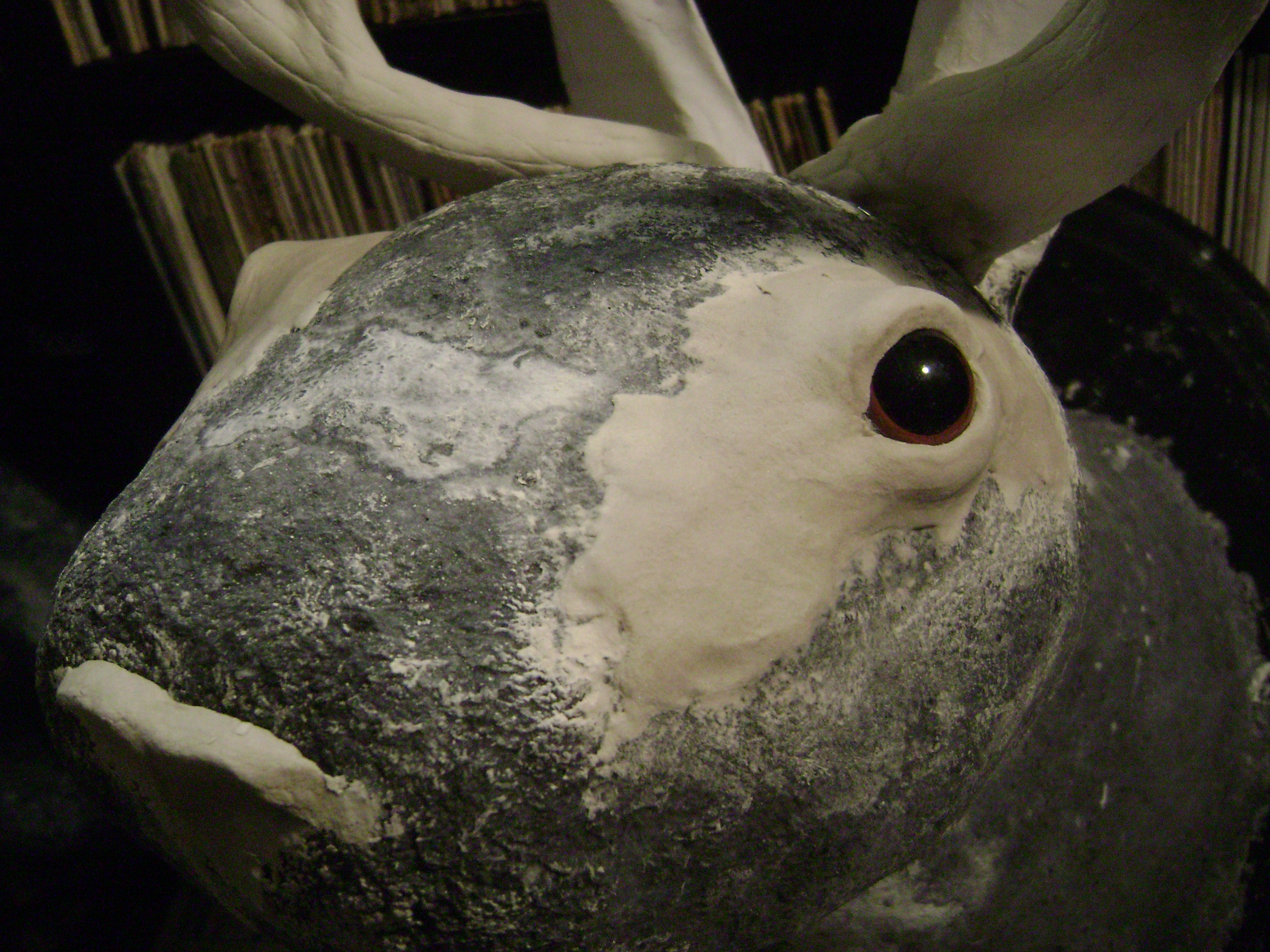 January 2011 117.jpg