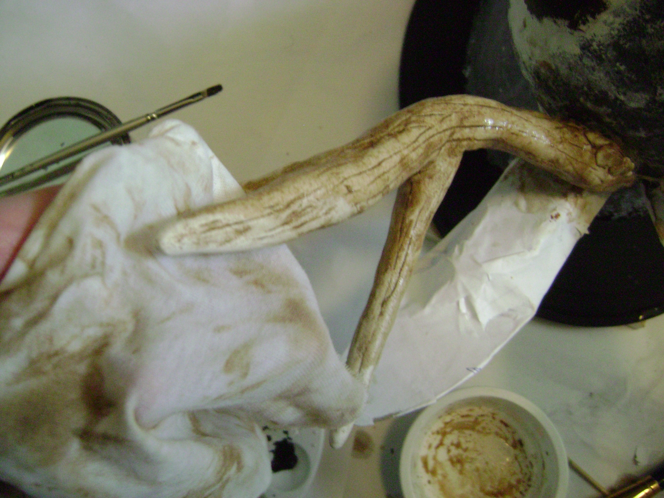 January 2011 143.jpg