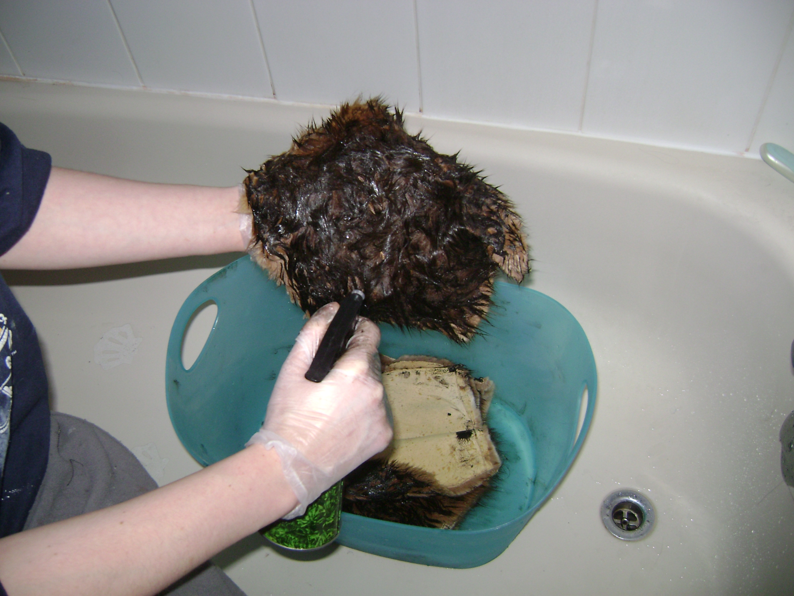 January 2011 152.jpg