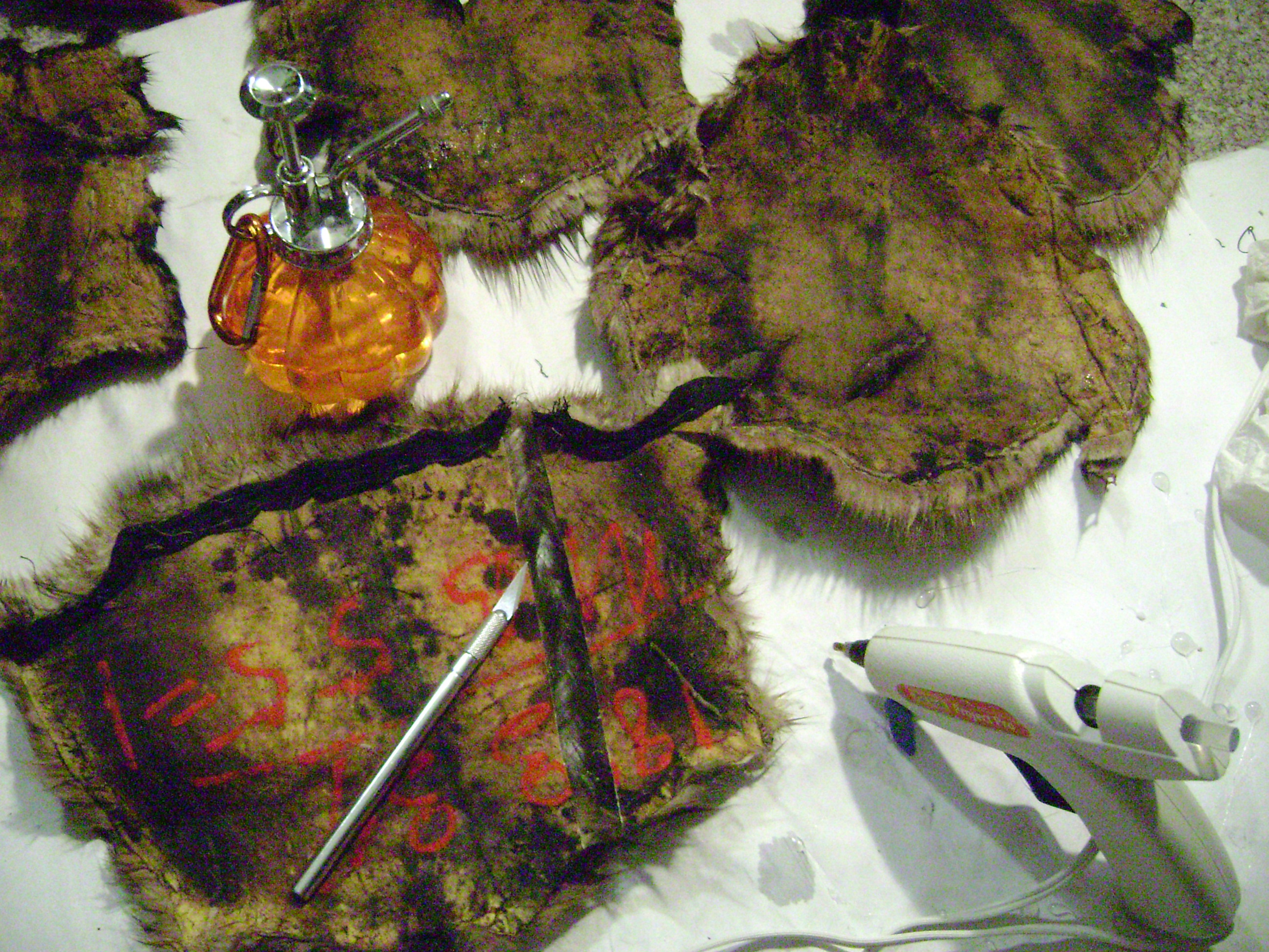 January 2011 159.jpg