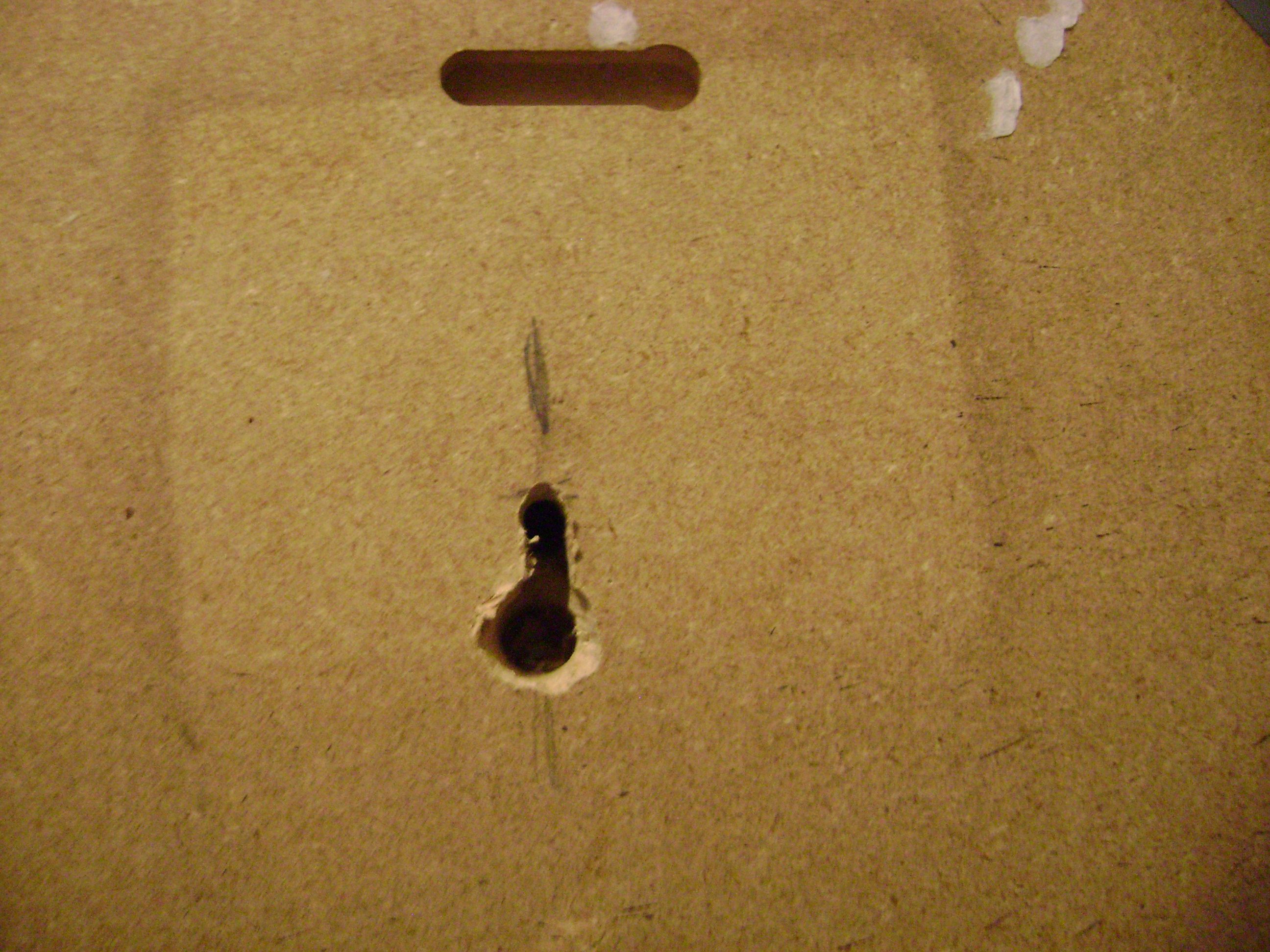 January 2011 189.jpg