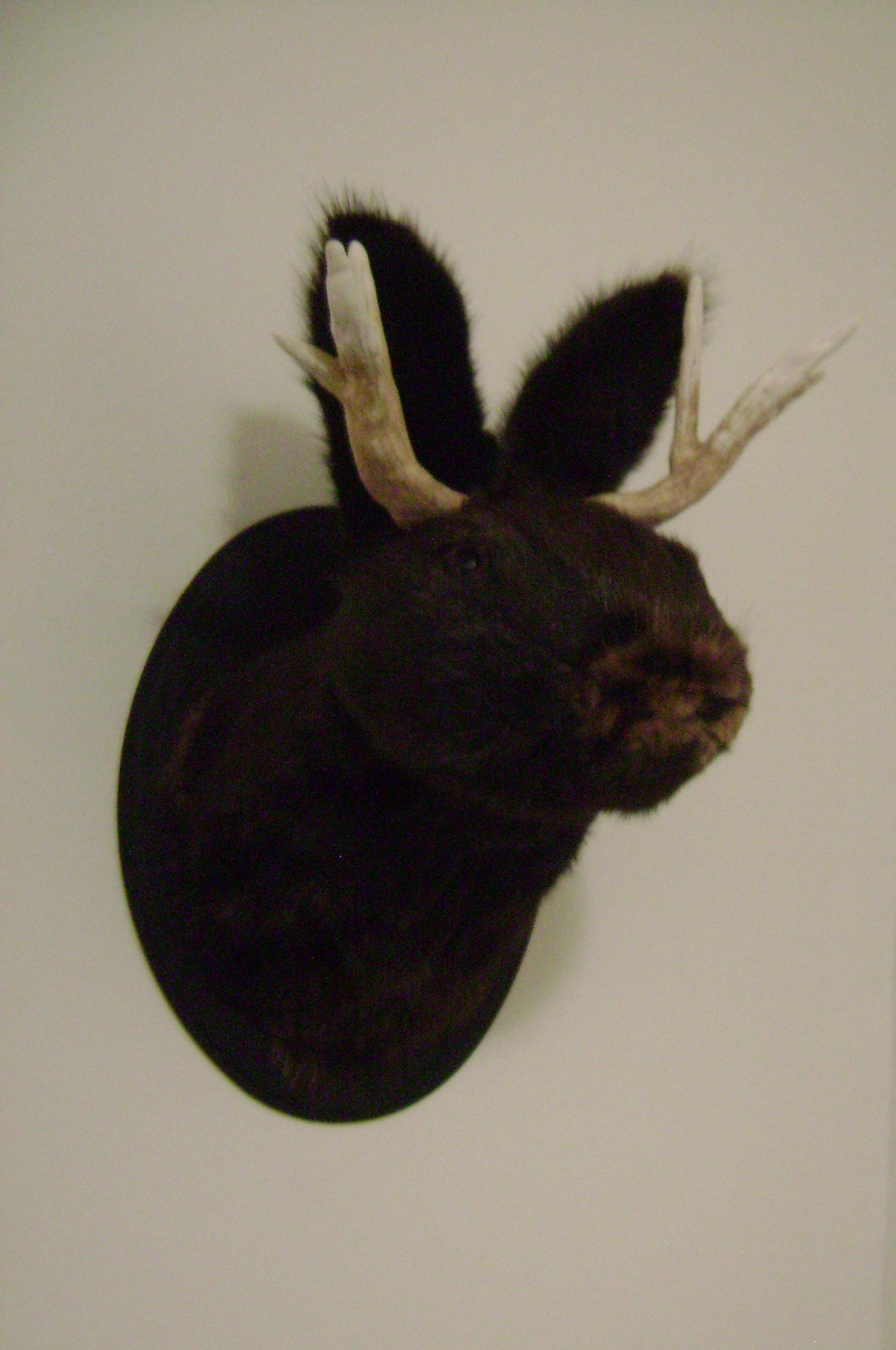 January 2011 203.jpg
