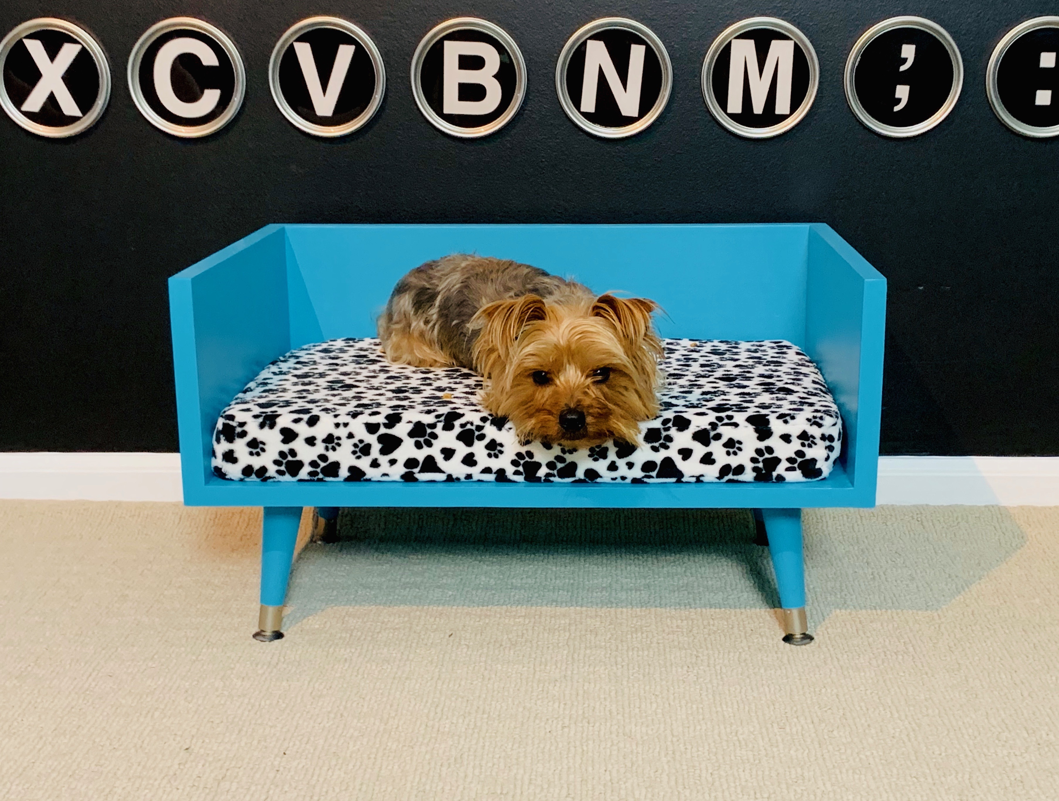 JustMightDIY-MCM-Dog-Bed-Final - 10.jpg