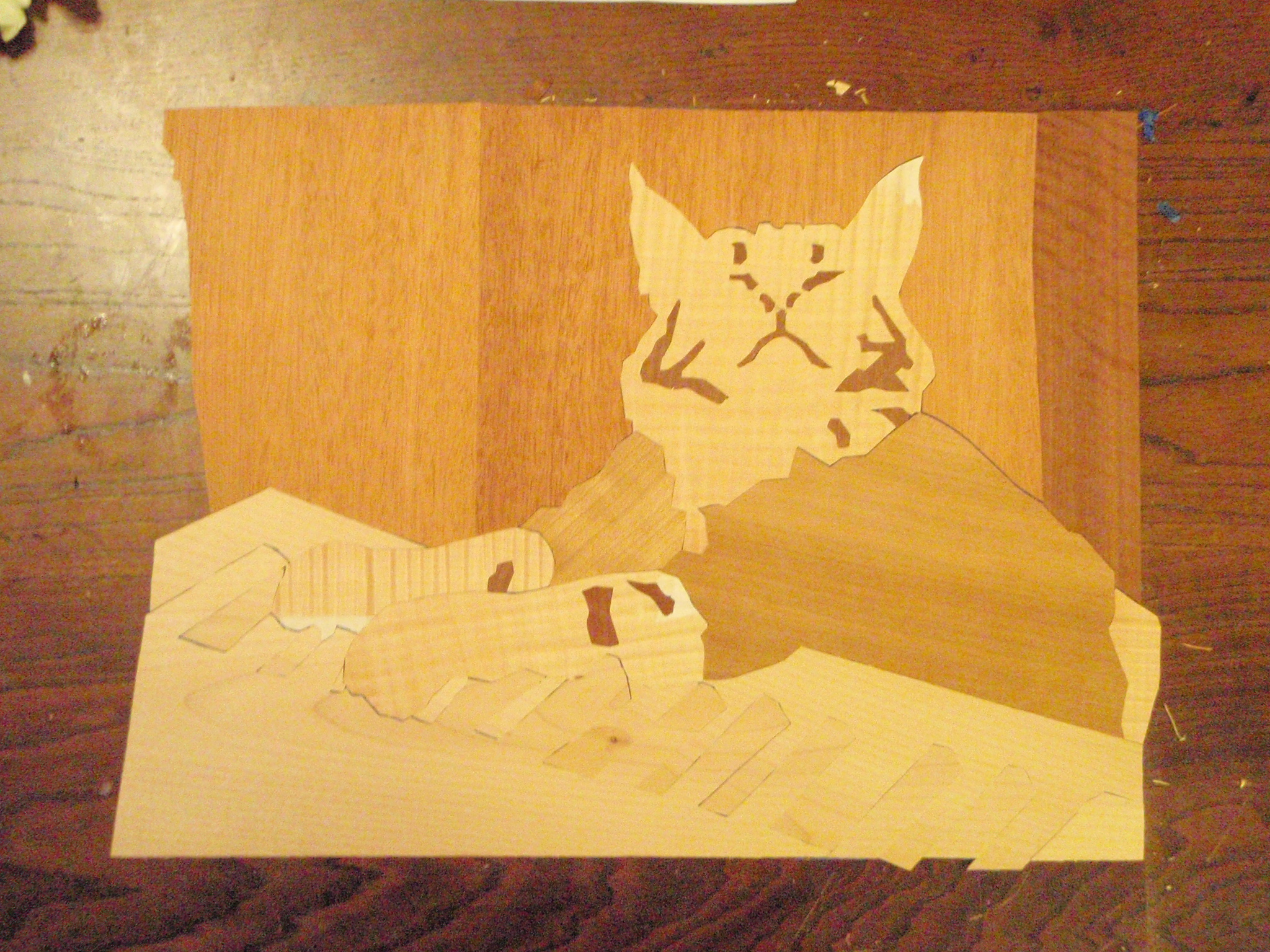 Keyboard Cat almost done.JPG