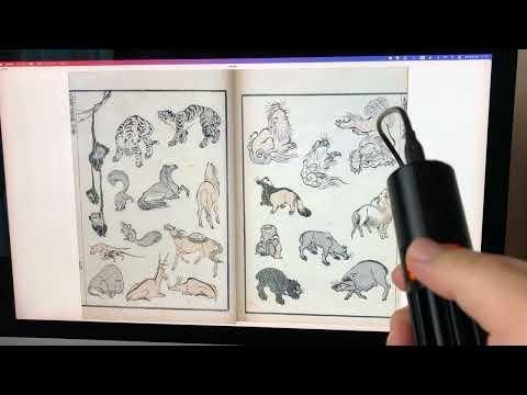 Kindle Page Turner Demo
