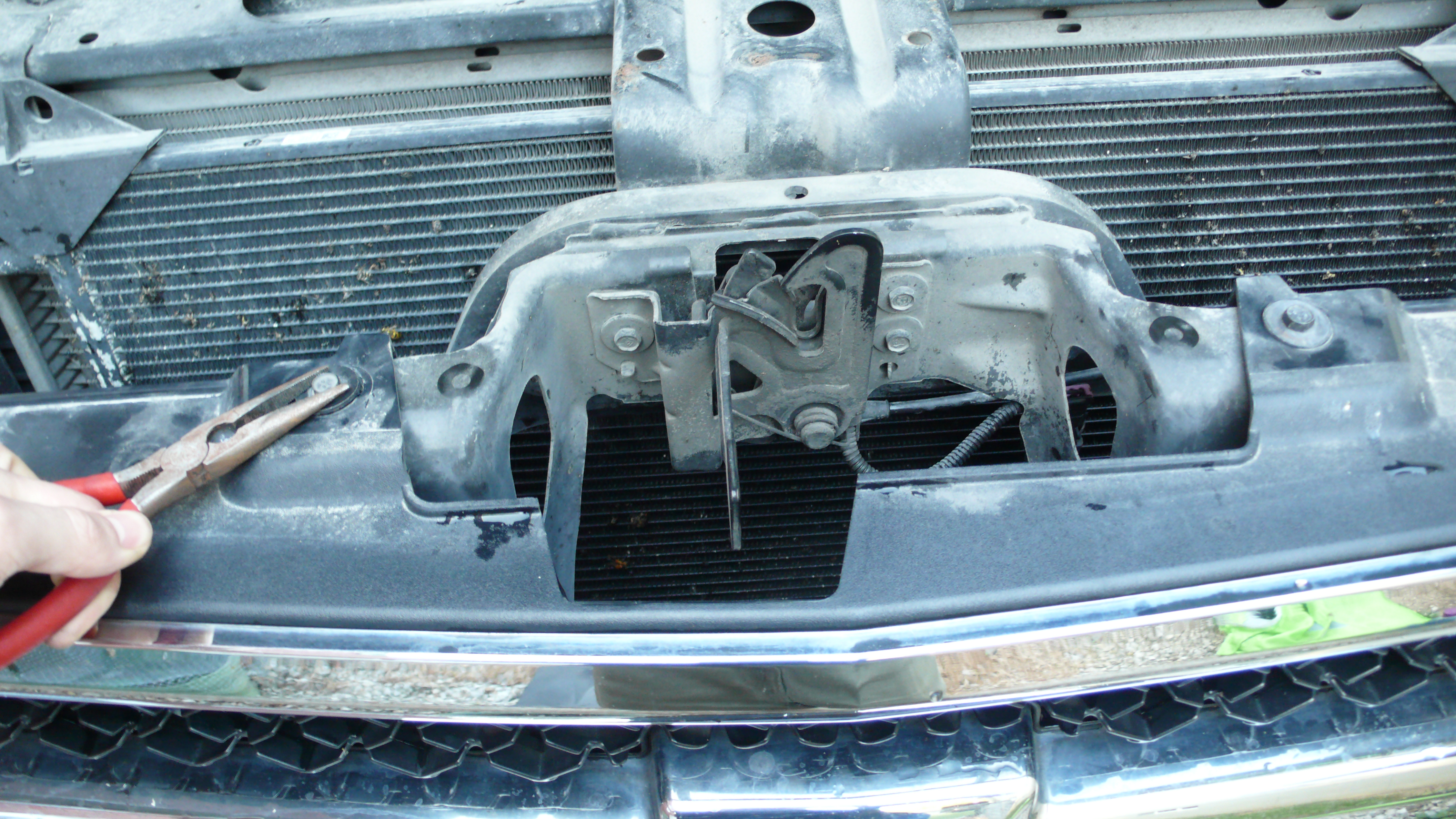 L1000426.JPG