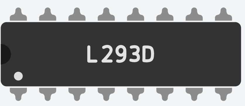 L293D.jpg