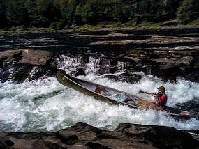 LEAPING SALMON CANOE.JPG