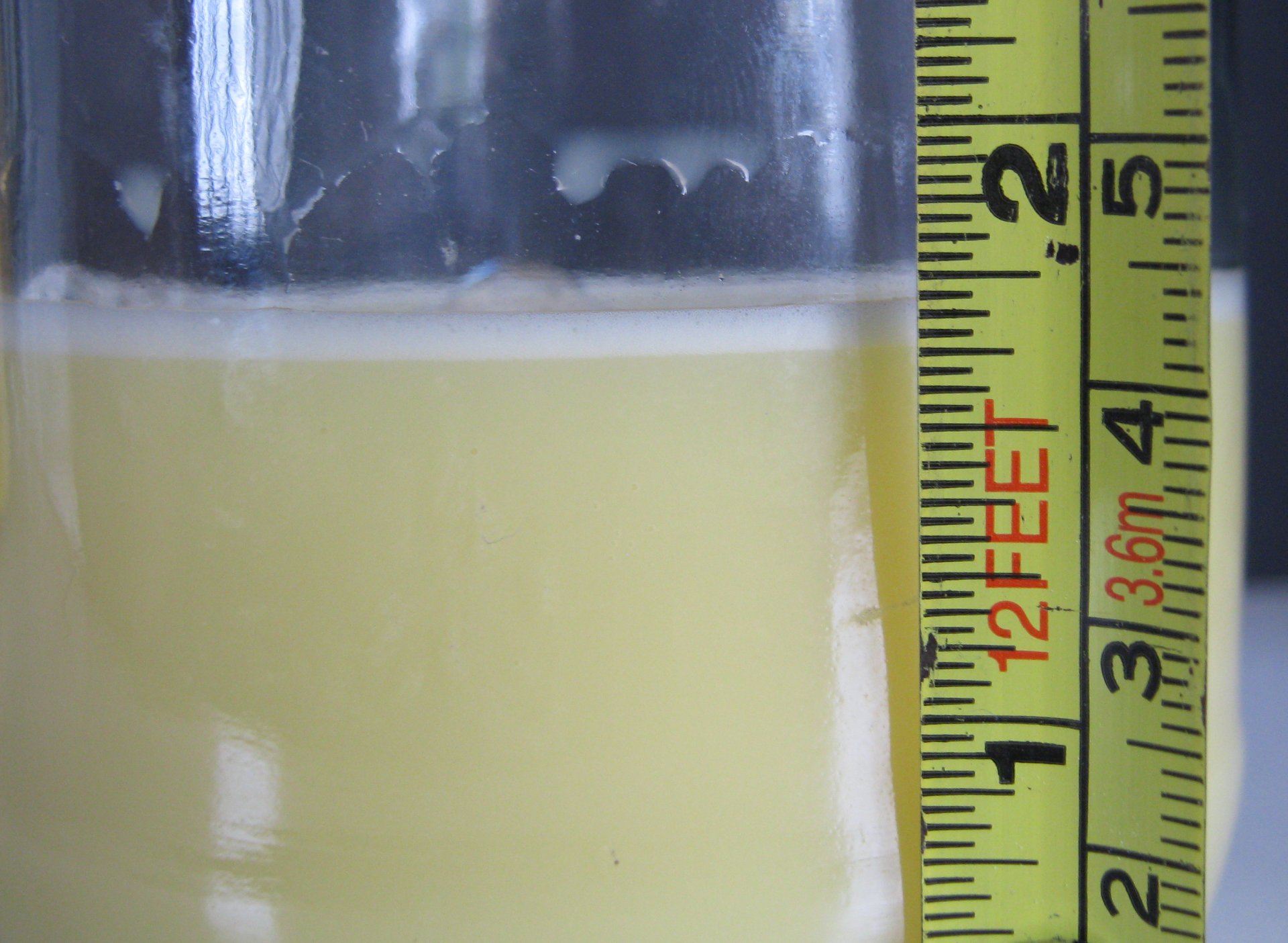 LET lascorbic acid.JPG