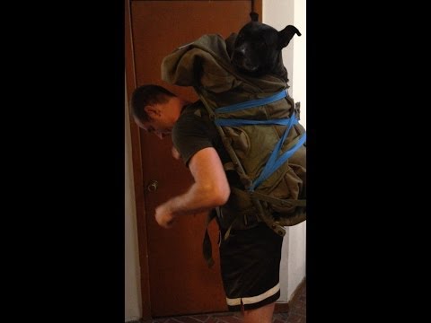 Large Dog Backpack for Biking