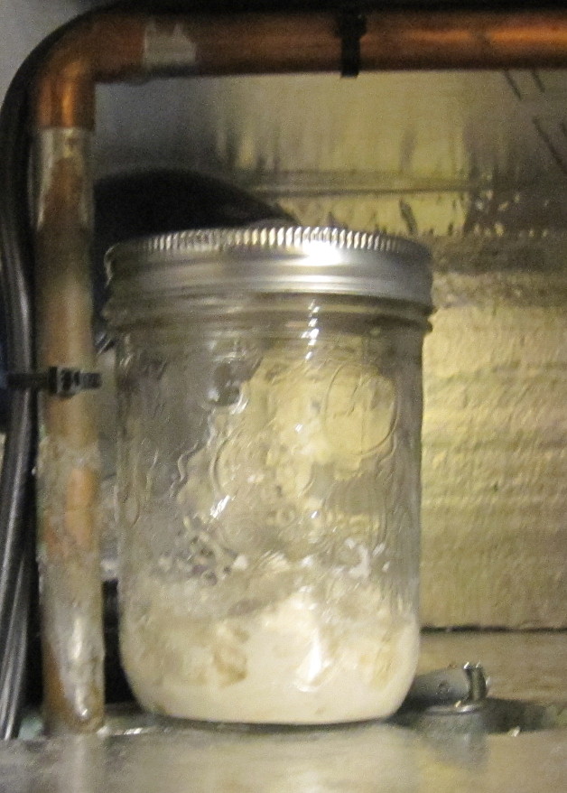 Levain5.JPG