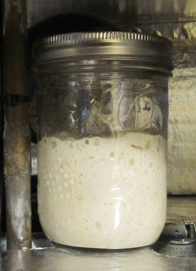 Levain6.JPG