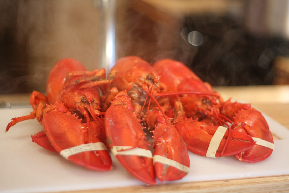 Lobster Steamed Done 1.jpg