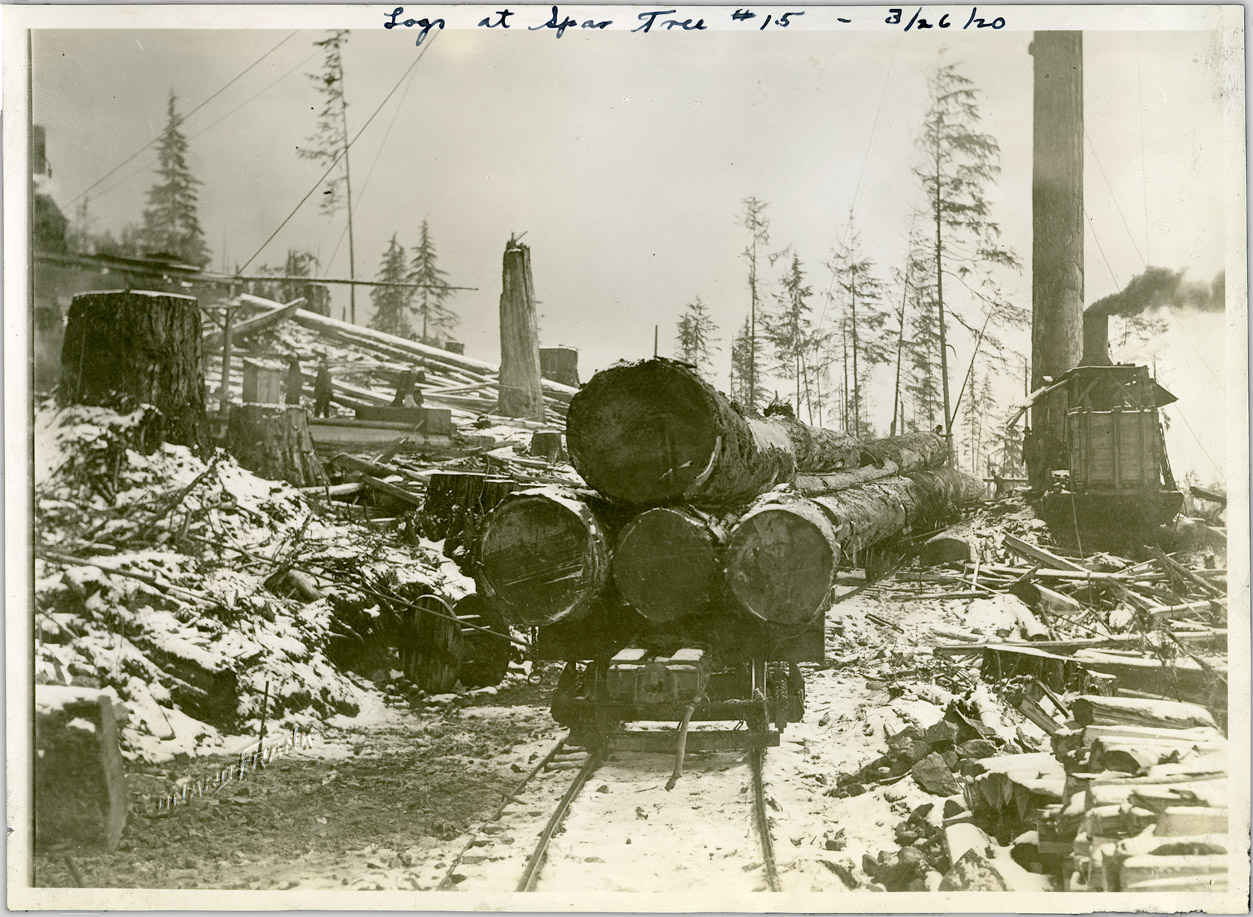 Logging_in_North_Vancouver.jpg