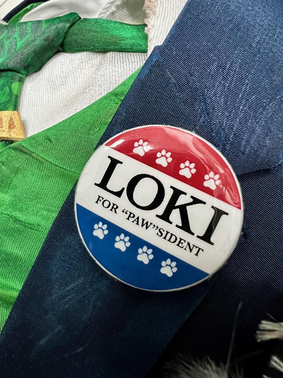 Loki for Pawsident - 58 of 80.jpeg