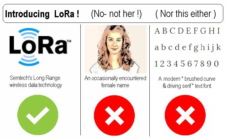 Lora-image_x3.jpg