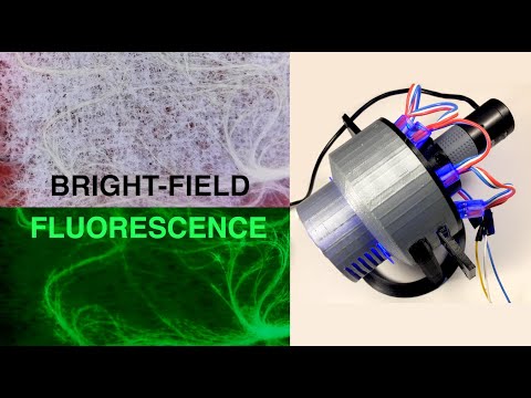 Low-cost Fluorescence Microscope