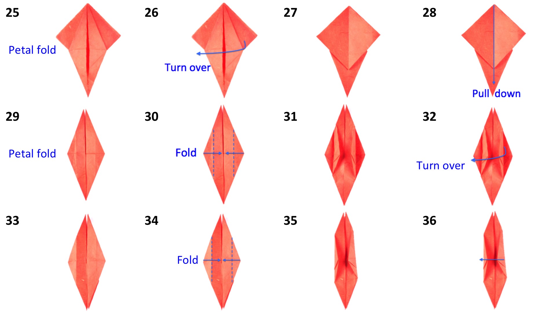 Lucasplayhouse_Origami bird 3.jpg
