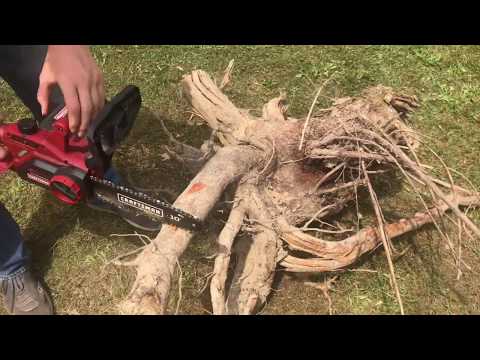 MAKE a table out of a tree stump