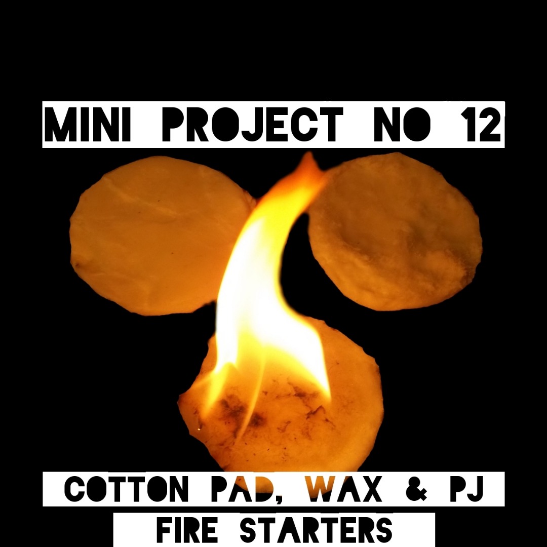 MP11Logo.jpg