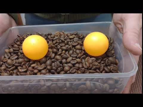 Magic Coffee Beans