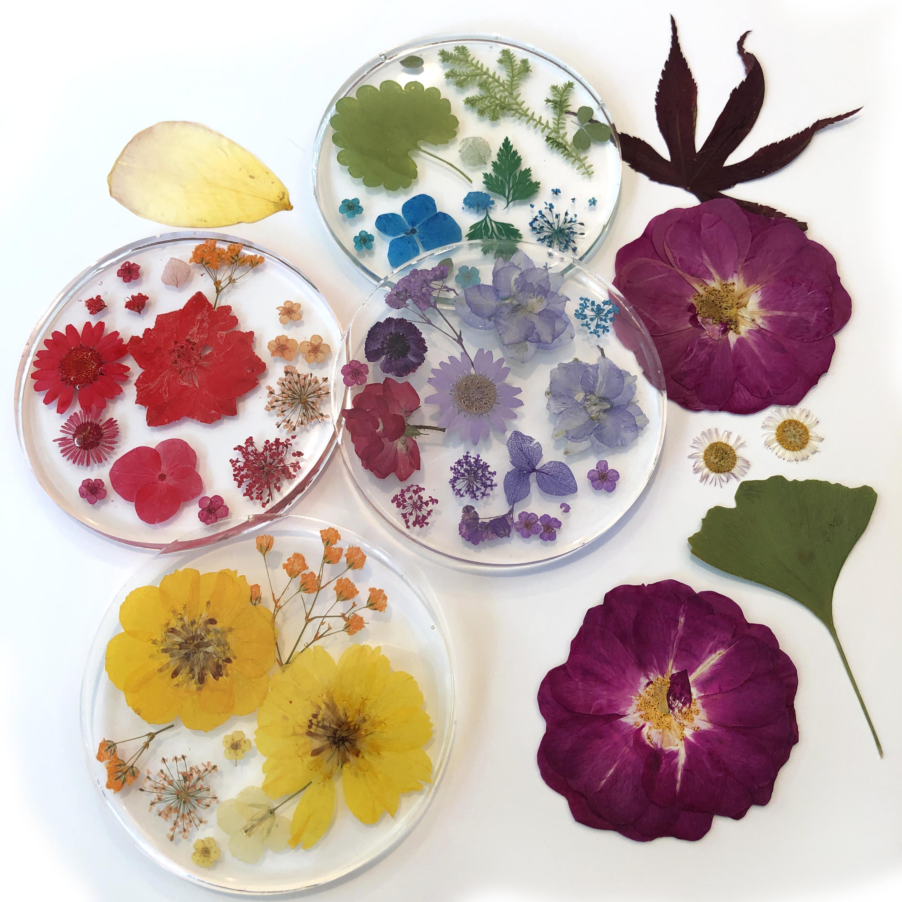 Main resin coasters 2541 SM.jpg