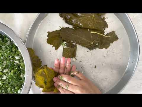 Making Stuffed Grape Leaves - Part 3 Filling The Leaves