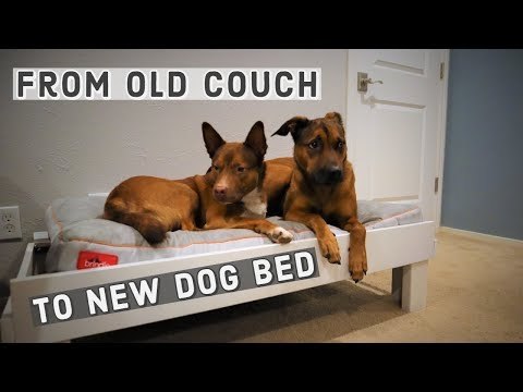 Making a Dog Bed out of an OLD Couch - Upcycle Furniture