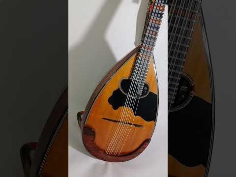 Mandolin Turned Into A DML Speaker