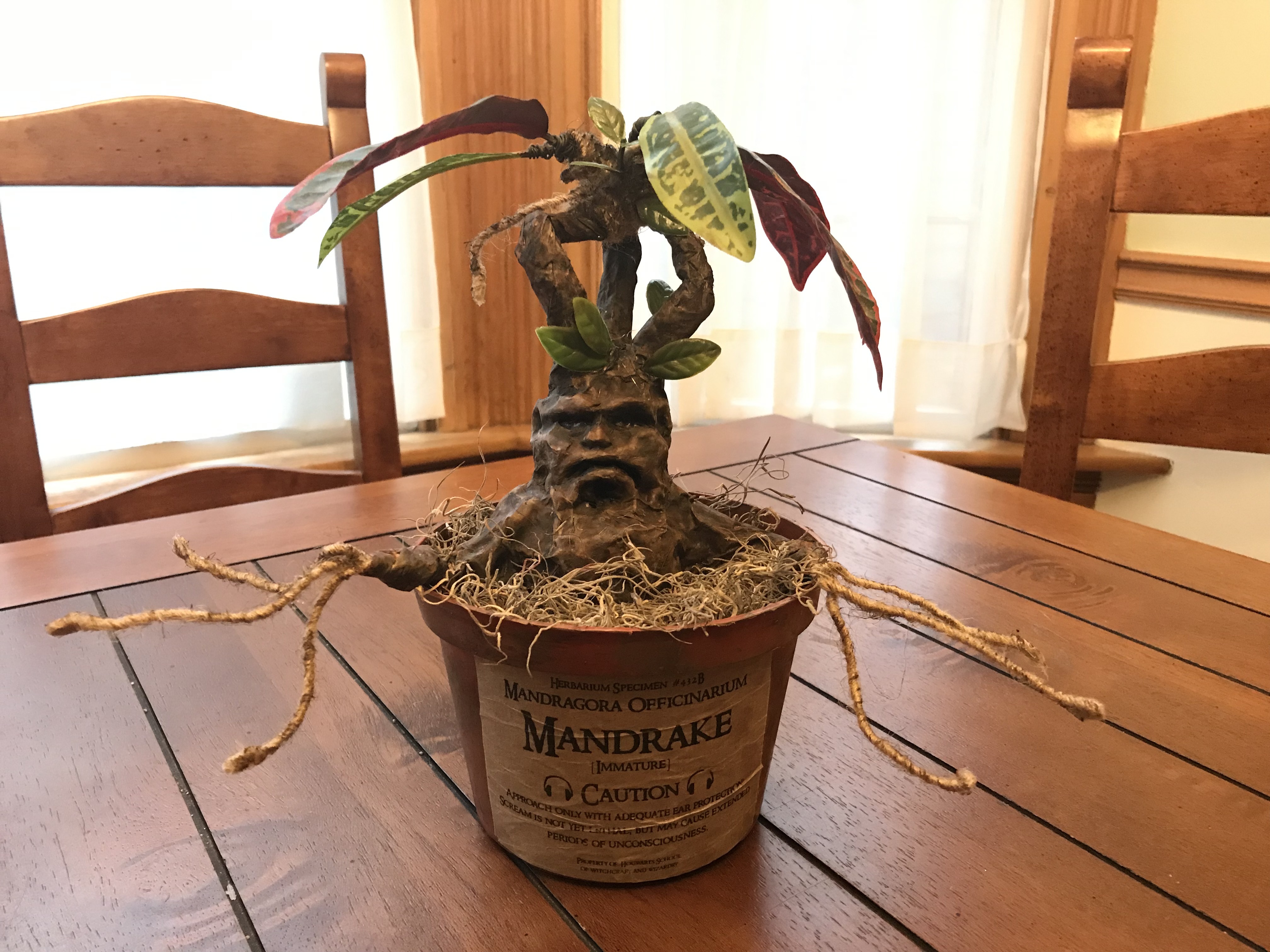 Mandrake 7.JPG