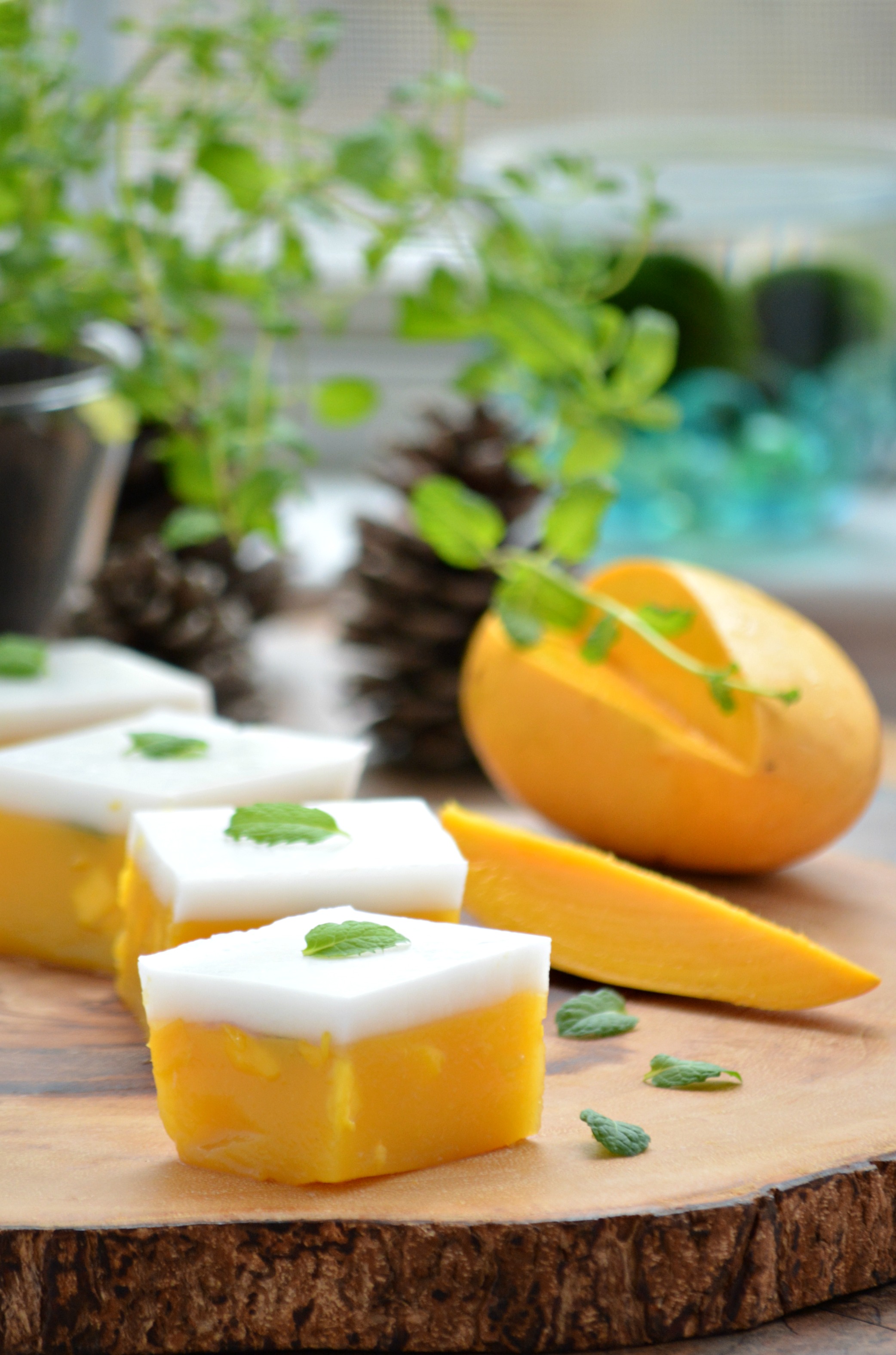 Mango Coconut Jelly Main.jpg