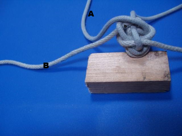 Manrope b.png