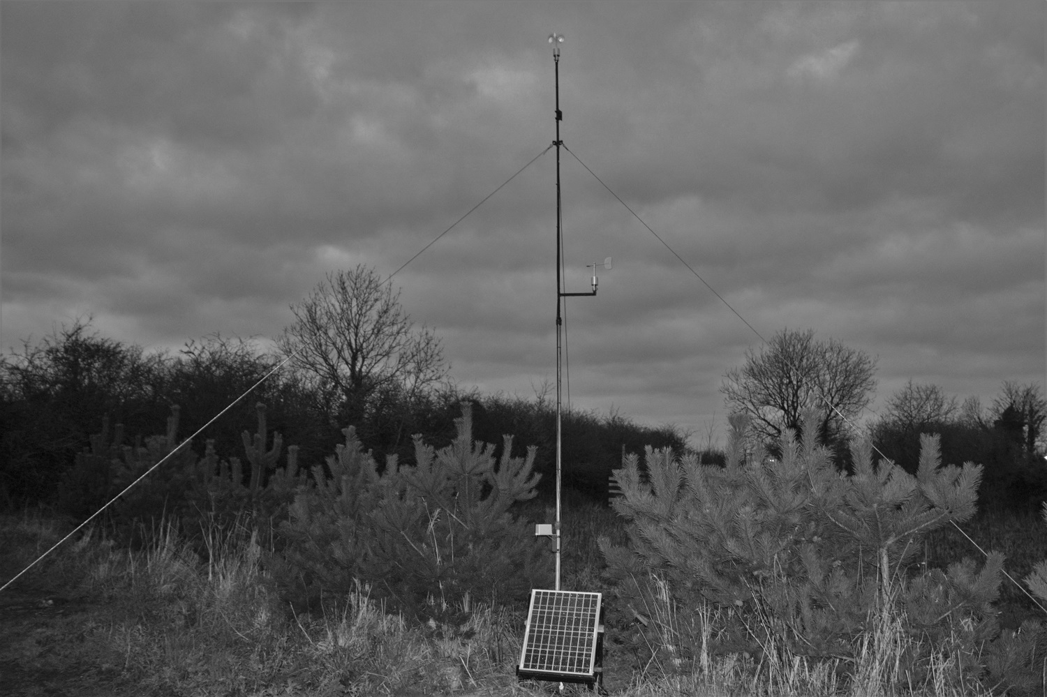 Mast black and white 01 small.jpg