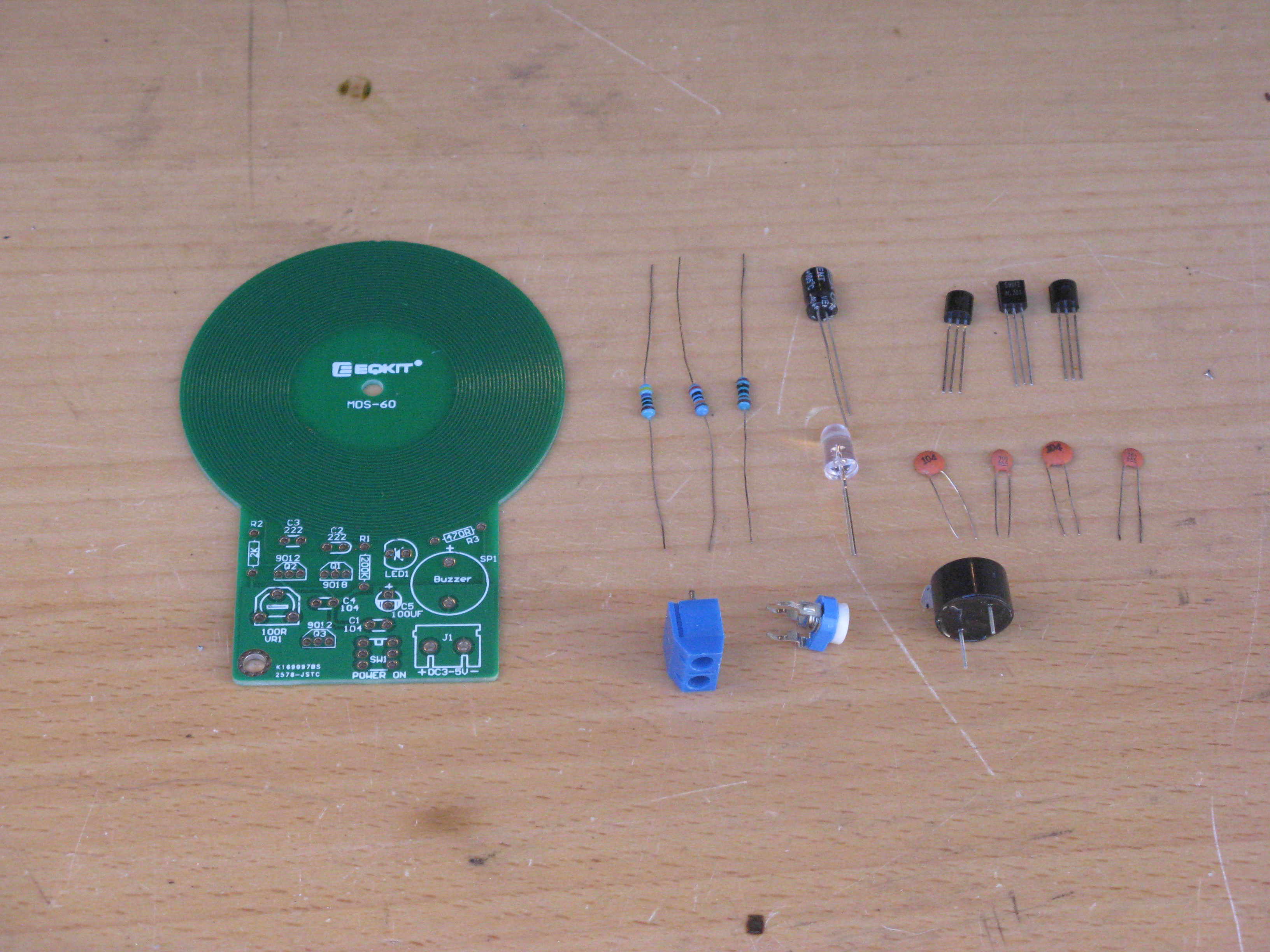 Metal Detector 4.JPG