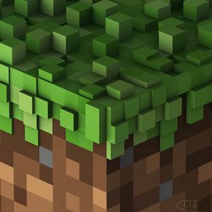MinecraftReference.jpg