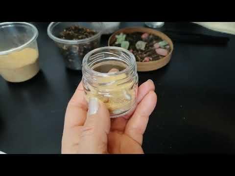 Mini succulent collage - Step 1: Preparing the Soil