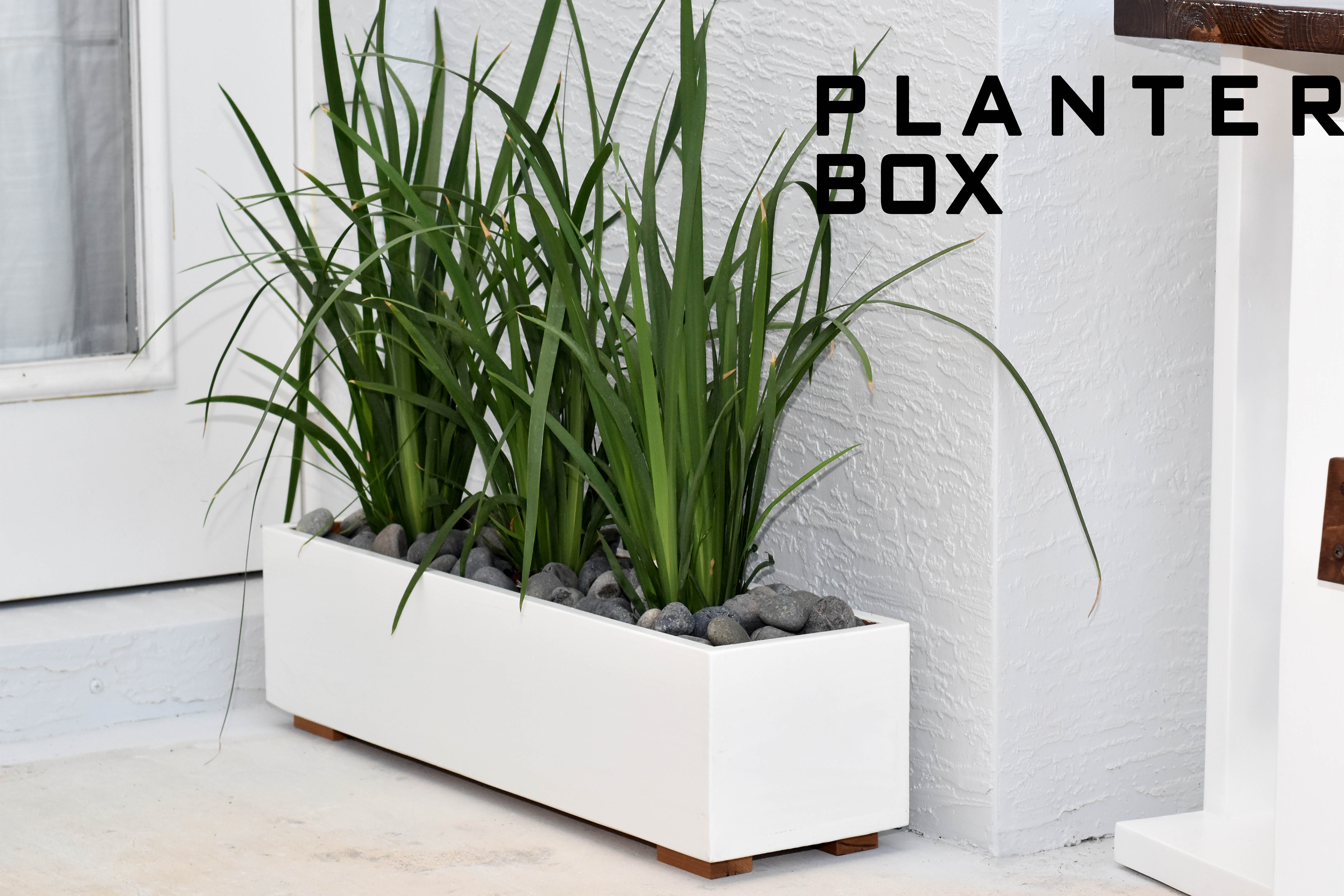 Modern Planter.jpg